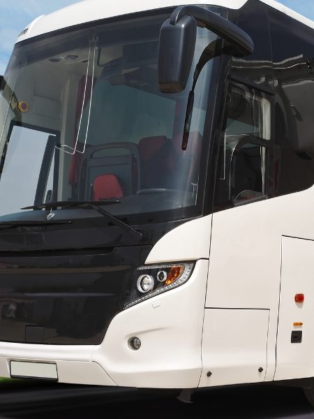 Noleggio pullman per addio al celibato e nubilato a Tivoli